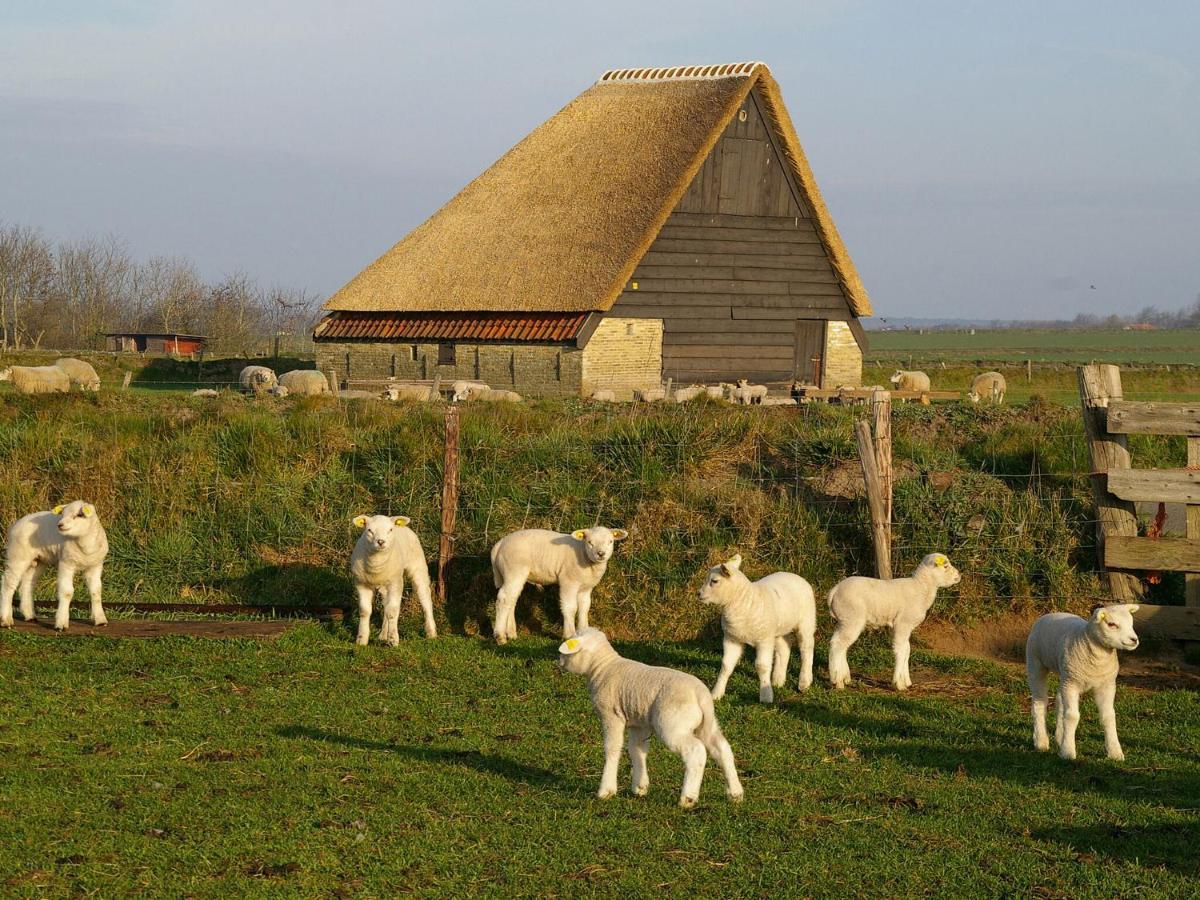 Fantastic Bungalow On Texel 德科克斯多普 外观 照片
